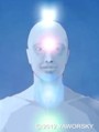 The Nature and Influences of the Chakras (TM), image copyright 2011 by Roman Oleh Yaworsky